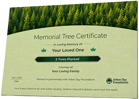 Plant Trees in Memory of Infant Khari James Robertson